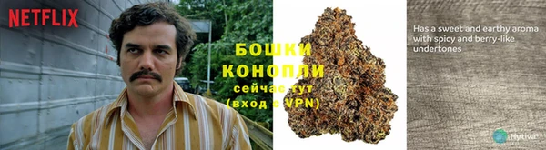 экстази Карпинск