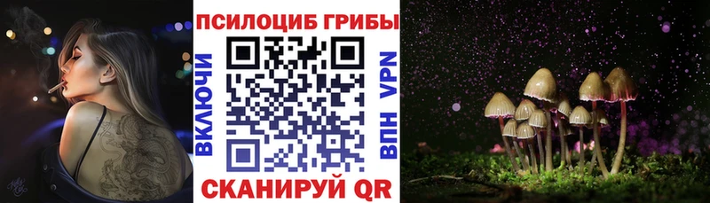Псилоцибиновые грибы мухоморы  Купить  Жирновск 