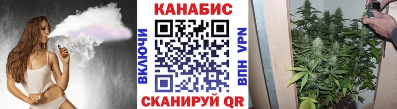 Купить  Жирновск  Шишки марихуана Amnesia 